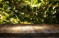 Image of wooden table in front of blurred vineyard landscape at sun light. Ready for product display montage. Royalty Free Stock Photo