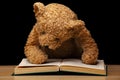 Image of wool bear book dark background