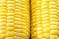 Image of yellow corn background, healthy organic food, bio nutrition Royalty Free Stock Photo