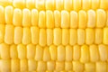 Image of yellow corn background, healthy organic food, bio nutrition Royalty Free Stock Photo