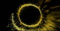 Image of yellow light trails and spots forming circles on black background Royalty Free Stock Photo