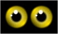 Image of yellow pupil of the eye, eye ball, iris eye. Realistic vector illustration isolated on black background.