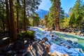 Yosemite stunning frosty river with pine trees and mountains in distance Royalty Free Stock Photo