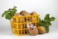Image of young potatoes in yellow basket, close-up