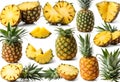 Pineapple collection. Whole and sliced ??pineapple isolated on white background, v4 Royalty Free Stock Photo