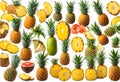 Pineapple collection. Whole and sliced ??pineapple isolated on white background or complete Royalty Free Stock Photo