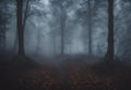 Forest, Navigating a Spooky Halloween Night in the Misty Foggy Forest Landscapes v3 Royalty Free Stock Photo