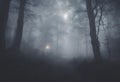 Navigating a Spooky Halloween Night in the Misty Foggy Forest, v8 Royalty Free Stock Photo