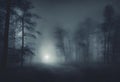 Navigating a Spooky Halloween Night in the Misty Foggy Forest, v7 Royalty Free Stock Photo