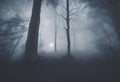 Navigating a Spooky Halloween Night in the Misty Foggy Forest, v3 Royalty Free Stock Photo