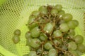 Images for Angoor / Grapes Green Fruits