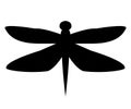 Simple dragonfly silhouette for education