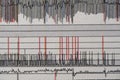 Images charts scientific cardiograms of cardiorespiratory sleep monitoring. Heart pulse or Heart wave, graph on paper. Medical Royalty Free Stock Photo