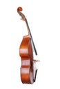 Images of the classical contrabass. Royalty Free Stock Photo