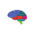 images of colorful human brain icons with white background