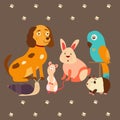 Images of domestic animals cat, parrot, dog, snail, rabbit, guinea. Can be used for pet shops, clinics, food advertising