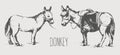 Images of donkey figures, drawing by hand with a pen. Graphic illustration in retro style.