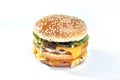 Images for hamburger with cheese