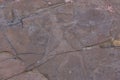 Images of Petroglyphs on the stone Royalty Free Stock Photo