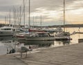 Oslo, Norway, Europe - small boats in the marina - a seagull