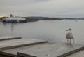 Oslo marina - a seagull and a ship on a cloudy day.