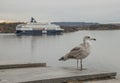 Oslo, Norway - a seagull and a ship on a cloudy day. Royalty Free Stock Photo