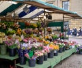 Flower stall and forest seen in an English market town.