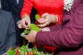 Images of Vietnamese weddings 03: the bride and groom take betel leaf and betel nut