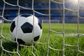 ImageStock Soccer ball on the green grass and goal net in football stadium photo, capturing sports action Royalty Free Stock Photo