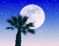 Imaginary landscape with giant full moon and palm tree under a heavy snowstorm Royalty Free Stock Photo