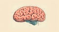 Artistic Line Art of Brain Illustration
