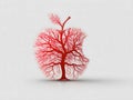 Imaginative illustration of the internal structure of a red apple, likes tree Royalty Free Stock Photo