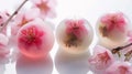 Cutting-Edge Confections: Envisioning the Future of Wagashi Nerikiri