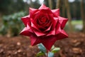 Imaginative Red rose origami. Generate Ai