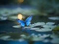 A leona\'s little blue butterfly performing a dance above a serene pond at dusk