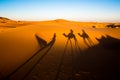 Evening Shadows of a Camel Caravan on the Sahara Royalty Free Stock Photo