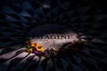 Imagine sign at Strawberry Fields, Central park.