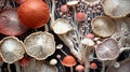 Fancy mushrooms with sinuous patterns, interesting background.