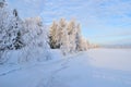 Imatra in winter Royalty Free Stock Photo