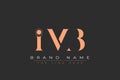 IMB abstract letter logo design Royalty Free Stock Photo