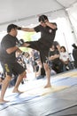 IMB Mixed Martial Arts