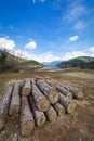 ÃÂ¤imber harvesting at Lake Doxa, Peloponnese.