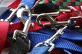 A close up shot of many dog leashes. Royalty Free Stock Photo