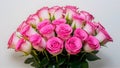 Img Bouquet of pink roses displayed elegantly on white background Royalty Free Stock Photo