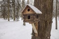 Birdhouse in cold winter forest Royalty Free Stock Photo