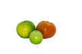 Green and orange tomatoes on a white background. Their size and color provide visual contrast. Royalty Free Stock Photo