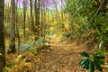 Hiking path off Hwy 215 in North Carolina Royalty Free Stock Photo