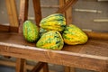 A group of ornamental gourds (Cucurbita pepo) rests on a wooden surface. Royalty Free Stock Photo