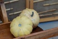 Two pale yellow squashes, possibly pattypan squashes Royalty Free Stock Photo