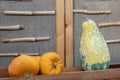 A still life arrangement features three pumpkins on a wooden surface Royalty Free Stock Photo